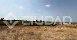 Finca rústica en venta – Paraje Carrascosa, Lebrija