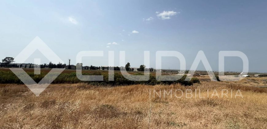 Finca rústica en venta – Paraje Carrascosa, Lebrija