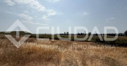 Finca rústica en venta – Paraje Carrascosa, Lebrija