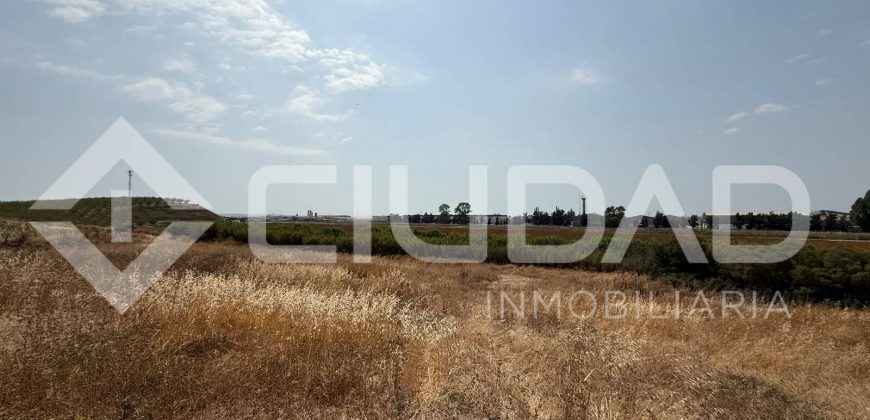 Finca rústica en venta – Paraje Carrascosa, Lebrija
