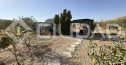 Campo en venta – Paraje Cerro Camacho, Espera