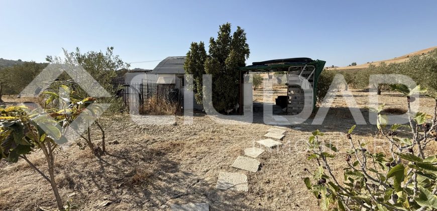 Campo en venta – Paraje Cerro Camacho, Espera