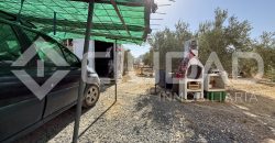 Campo en venta – Paraje Cerro Camacho, Espera