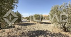 Campo en venta – Paraje Cerro Camacho, Espera