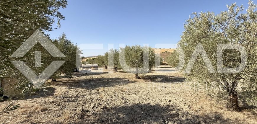 Campo en venta – Paraje Cerro Camacho, Espera