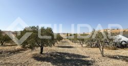 Campo en venta – Paraje Cerro Camacho, Espera