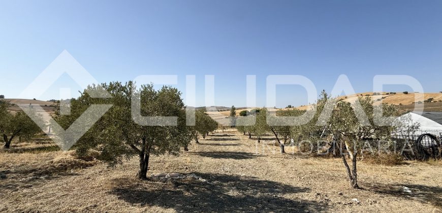 Campo en venta – Paraje Cerro Camacho, Espera