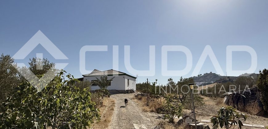 Campo en venta – Paraje Cerro Camacho, Espera
