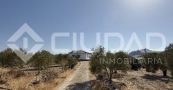 Campo en venta – Paraje Cerro Camacho, Espera