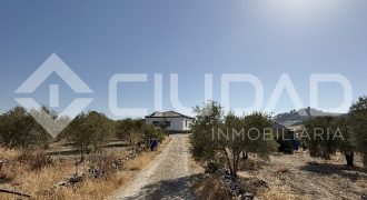 Campo en venta – Paraje Cerro Camacho, Espera