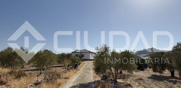 Campo en venta – Paraje Cerro Camacho, Espera