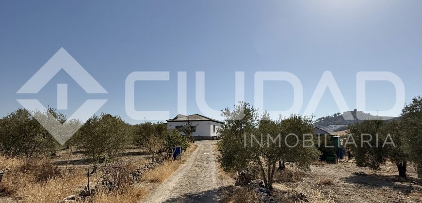 Campo en venta – Paraje Cerro Camacho, Espera