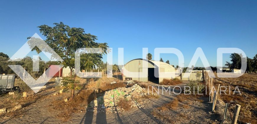 Campo en venta – Zona Las Arenas, Lebrija