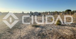 Campo en venta – Zona Las Arenas, Lebrija