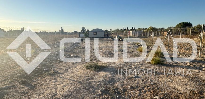 Campo en venta – Zona Las Arenas, Lebrija