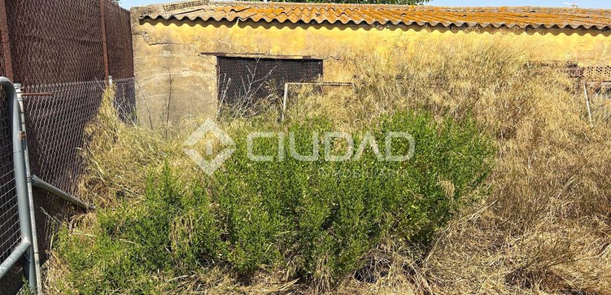 Terreno rústico en Camino Ancho – La Dehesilla