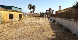 Terreno rústico en Camino Ancho – La Dehesilla