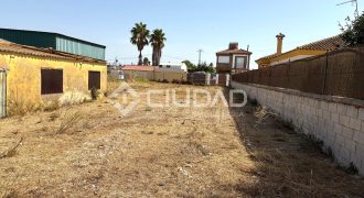 Terreno rústico en Camino Ancho – La Dehesilla
