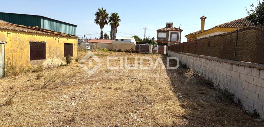 Terreno rústico en Camino Ancho – La Dehesilla