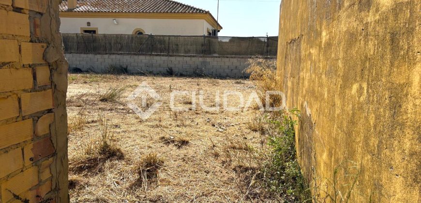 Terreno rústico en Camino Ancho – La Dehesilla