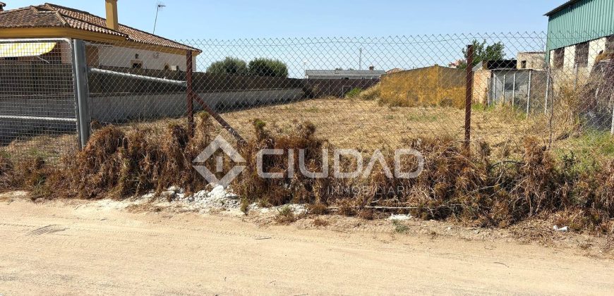 Terreno rústico en Camino Ancho – La Dehesilla