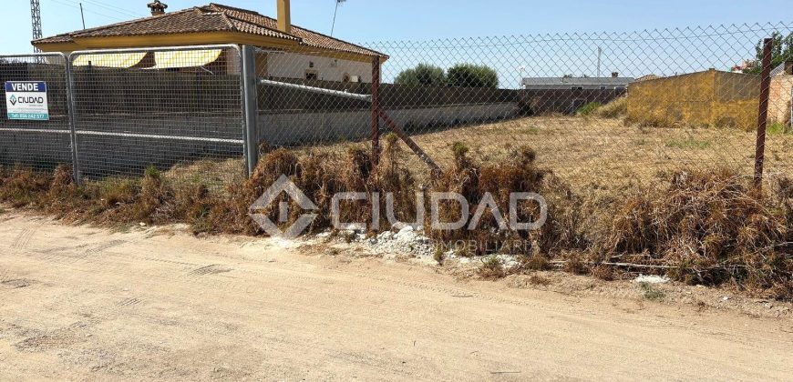 Terreno rústico en Camino Ancho – La Dehesilla