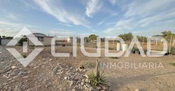 FINCA RÚSTICA CON NAVE Y PISTA PARA CABALLOS – ZONA LAS ARENAS