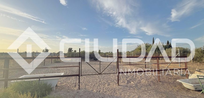 FINCA RÚSTICA CON NAVE Y PISTA PARA CABALLOS – ZONA LAS ARENAS