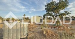 FINCA RÚSTICA CON NAVE Y PISTA PARA CABALLOS – ZONA LAS ARENAS