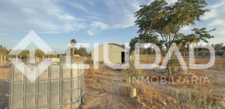 FINCA RÚSTICA CON NAVE Y PISTA PARA CABALLOS – ZONA LAS ARENAS