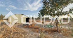 FINCA RÚSTICA CON NAVE Y PISTA PARA CABALLOS – ZONA LAS ARENAS