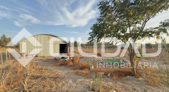 FINCA RÚSTICA CON NAVE Y PISTA PARA CABALLOS – ZONA LAS ARENAS