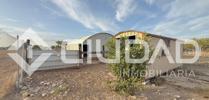 FINCA RÚSTICA CON NAVE Y PISTA PARA CABALLOS – ZONA LAS ARENAS
