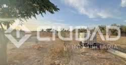 FINCA RÚSTICA CON NAVE Y PISTA PARA CABALLOS – ZONA LAS ARENAS