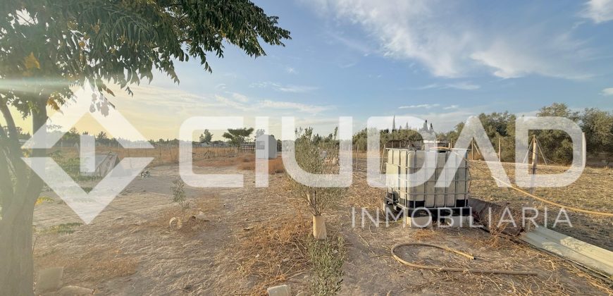 FINCA RÚSTICA CON NAVE Y PISTA PARA CABALLOS – ZONA LAS ARENAS