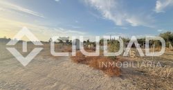 FINCA RÚSTICA CON NAVE Y PISTA PARA CABALLOS – ZONA LAS ARENAS