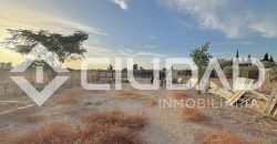 FINCA RÚSTICA CON NAVE Y PISTA PARA CABALLOS – ZONA LAS ARENAS
