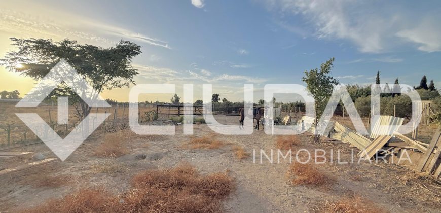 FINCA RÚSTICA CON NAVE Y PISTA PARA CABALLOS – ZONA LAS ARENAS