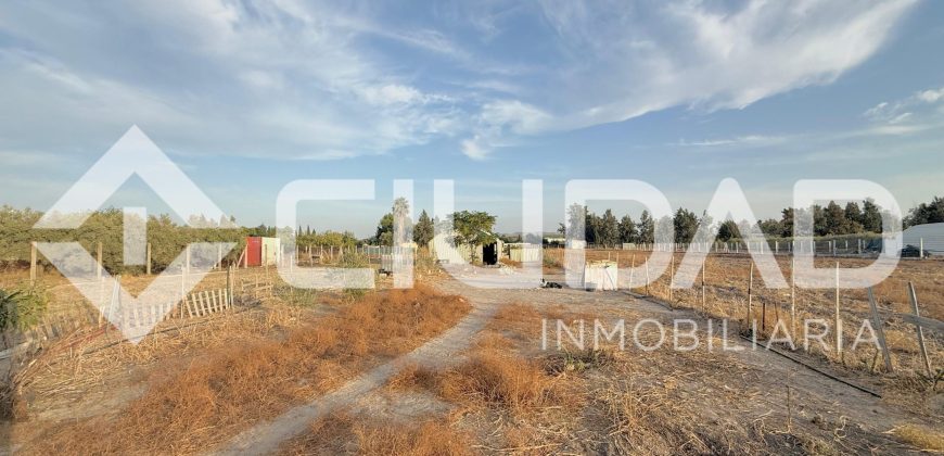 FINCA RÚSTICA CON NAVE Y PISTA PARA CABALLOS – ZONA LAS ARENAS