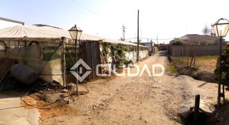 Terreno con invernaderos en La Reyerta
