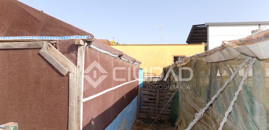 Terreno con invernaderos en La Reyerta