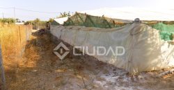 Terreno con invernaderos en La Reyerta