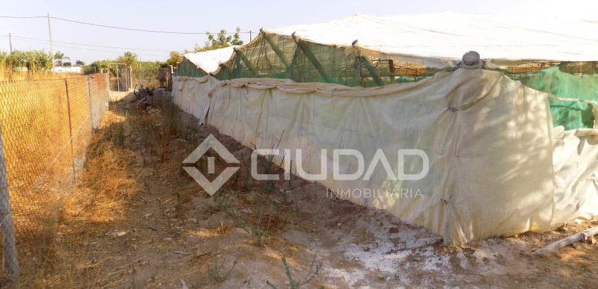 Terreno con invernaderos en La Reyerta
