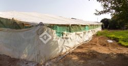 Terreno con invernaderos en La Reyerta