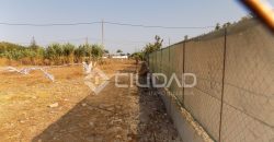 Terreno con invernaderos en La Reyerta