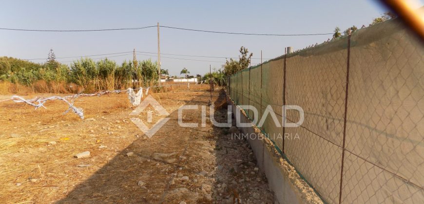 Terreno con invernaderos en La Reyerta
