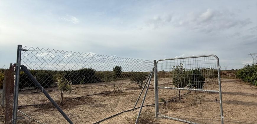 TERRENO RÚSTICO