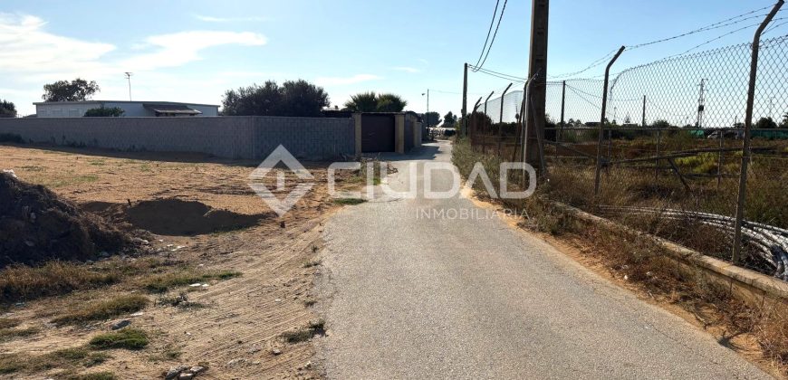 Terreno rústico con luz y escrituras independientes en La Jara