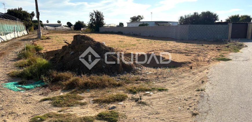 Terreno rústico con luz y escrituras independientes en La Jara