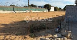 Terreno rústico con luz y escrituras independientes en La Jara